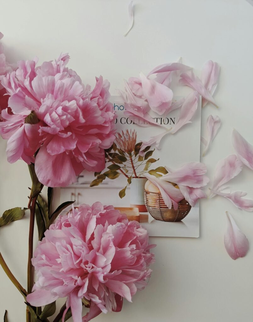 Delicate pink peonies with scattered petals against a minimalistic magazine layout.
